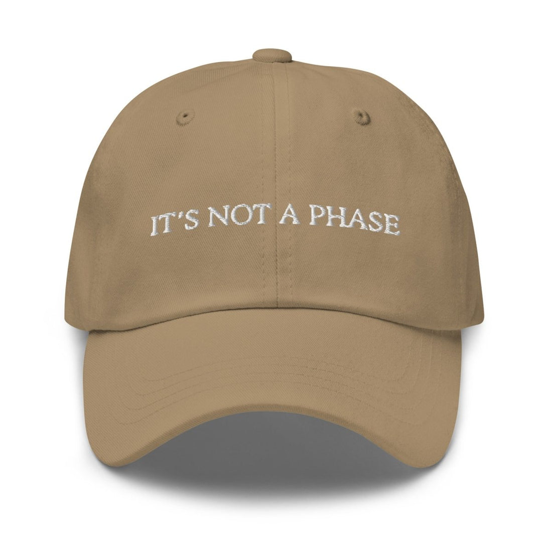 It's Not A Phase Dad Hat